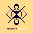 taekwondo pictogramme